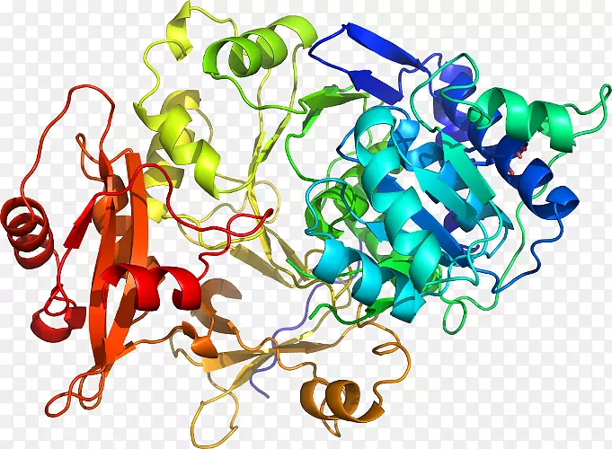 ���������л����߼�������-������