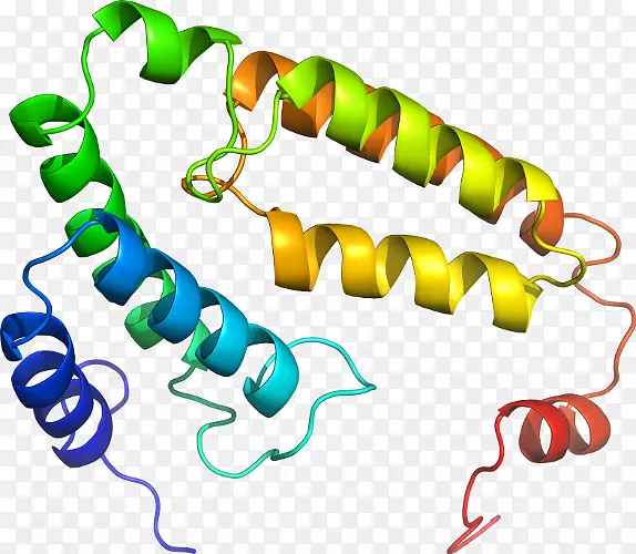 �����鱦���л����������-������