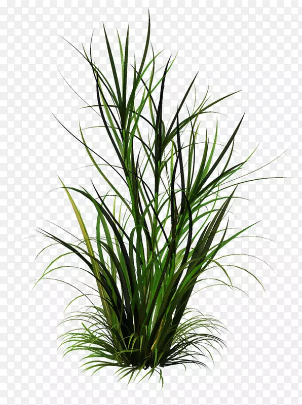 ���Ͳݼ�����-������