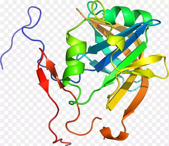 ����ƽ����Ƶ��������-������