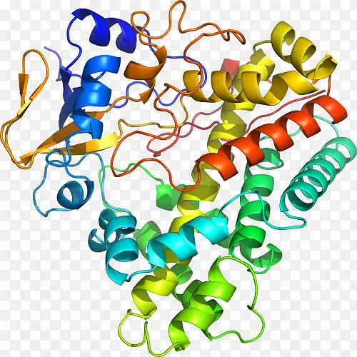 ���������л����߼�������-������