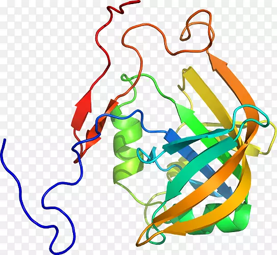 �ߵ������������-������