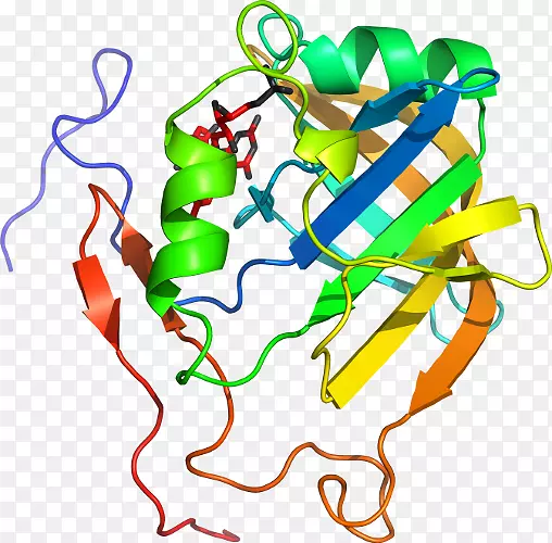 Ҷ�ߵ������-Ҷ-������