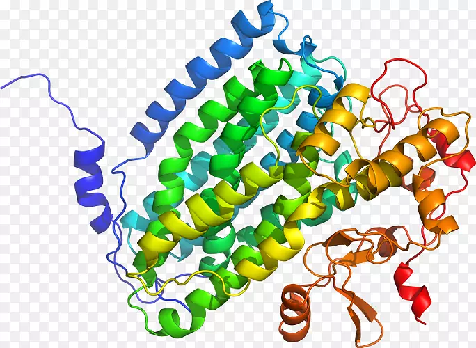 ���������л����߼�������-������