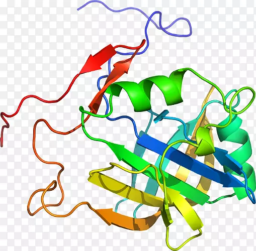 �ߵ������������-������