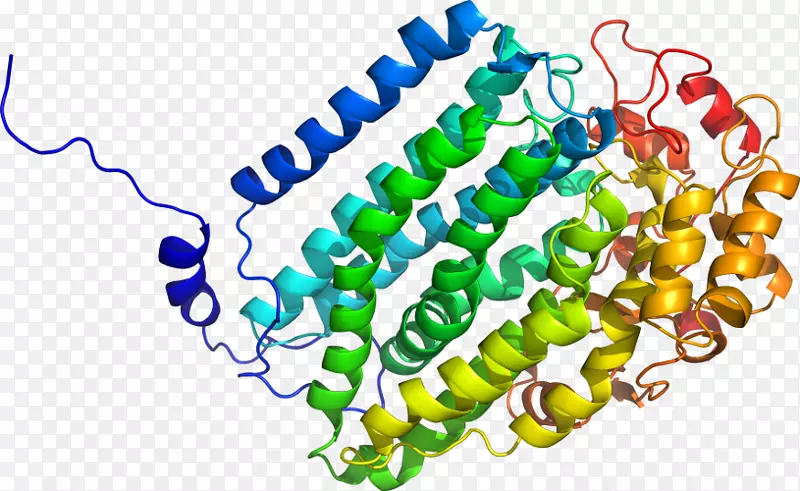 ���������л����߼�������-������