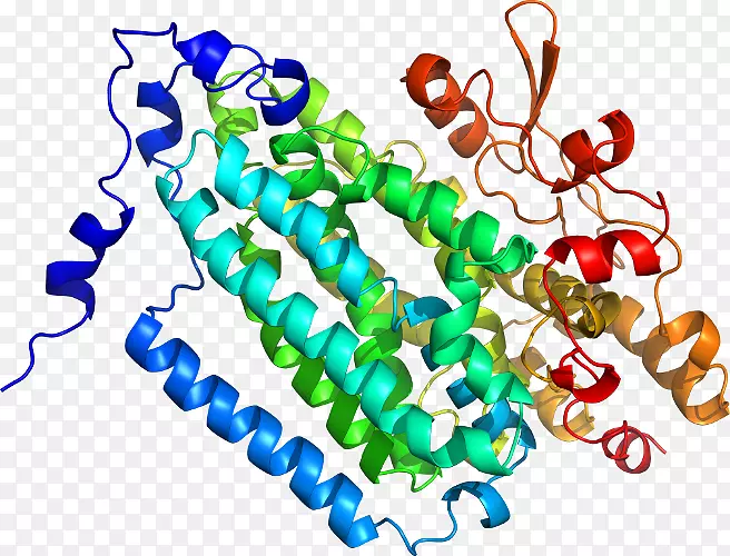 �ߵ������������-������