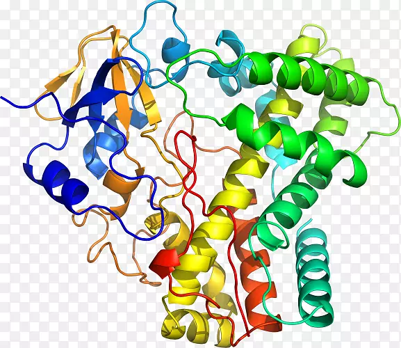 ���������鱦���߼�����-��-������