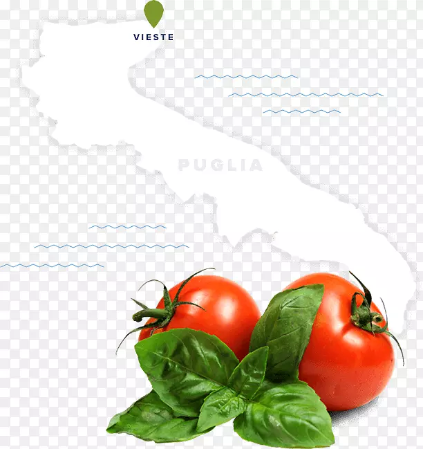 ����ӣ�ҷ��Ѽ�����-������-������