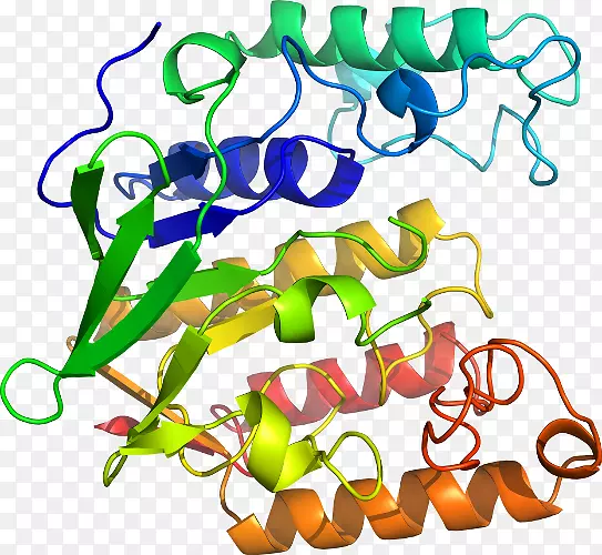 �����鱦�����߼�������-������