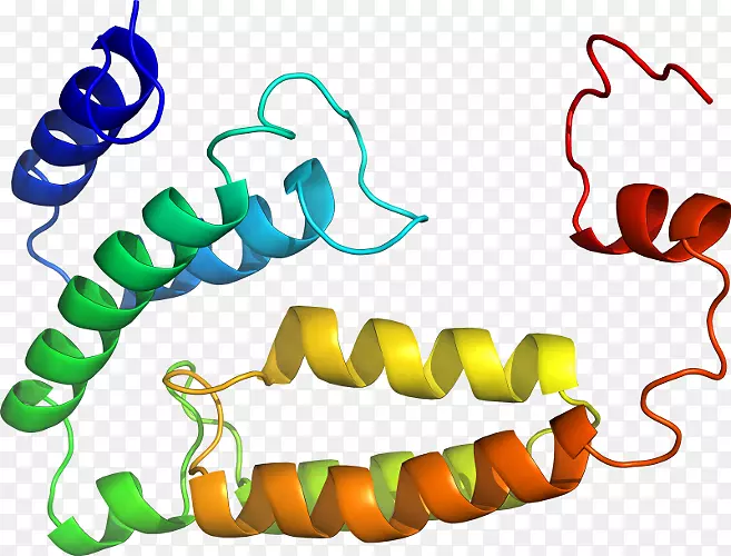 ���������л����߼�������-������