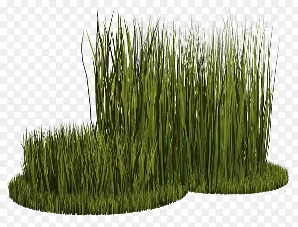 �������ݲݱ�ֲ�������-������