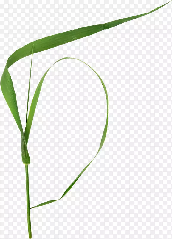 ֲ�ﾥ�ݼ�����-������