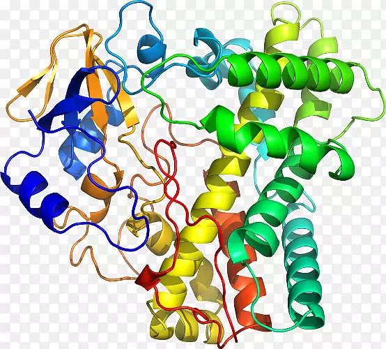 �����鱦������������-��-������