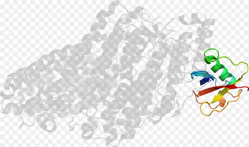 ���߼�����-��-������