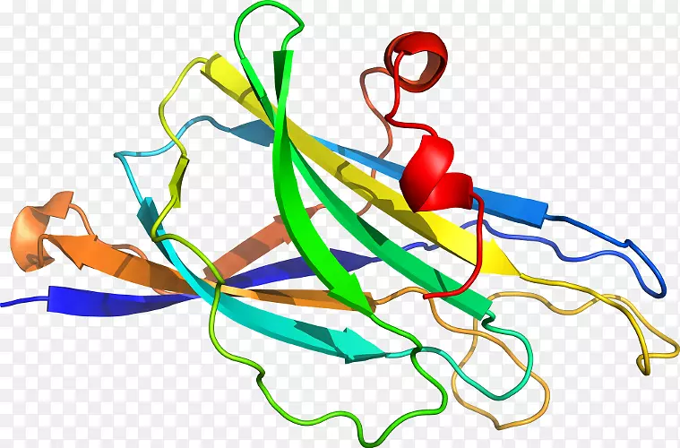 �ߵ������������-������