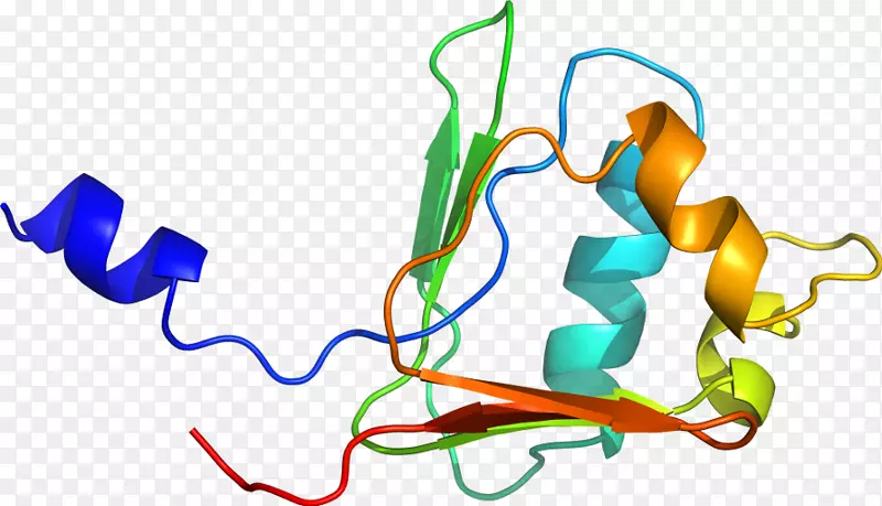 �ߵ������������-������