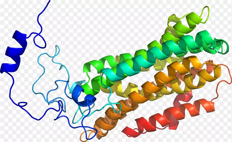 �����鱦���л����������-������