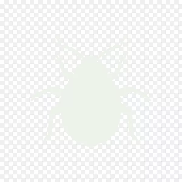 ���������ֽ���Դ��ۻ���ֽ����-������