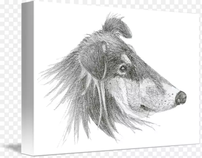 Ȯ�ֱ��Ӱ׹�-������