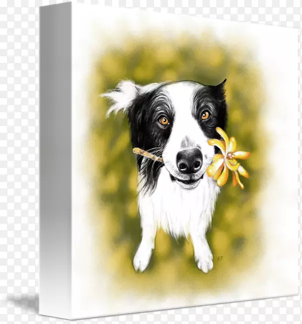 �߾�����Ȯ��ֳ�Ĵ���������Ȯ��Ұ����Ȯ��-������