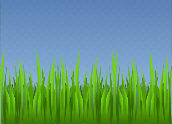 ��ƺ�ݻ�԰������-�����ݼ�����-������