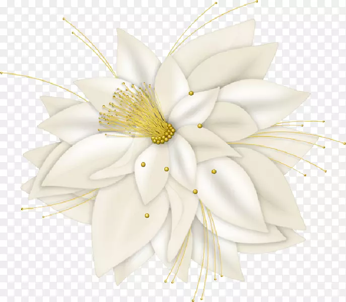 ��������л�����-������