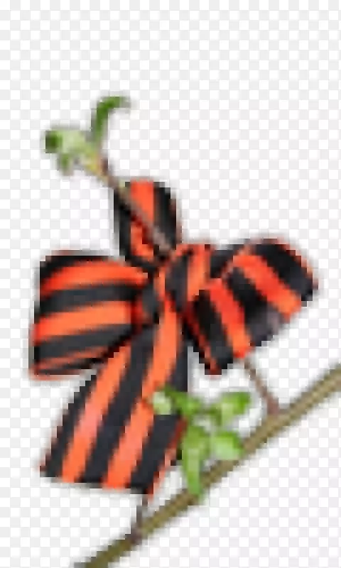 �����ɫ�����Ͷ�Ĥ�ն�-����-������