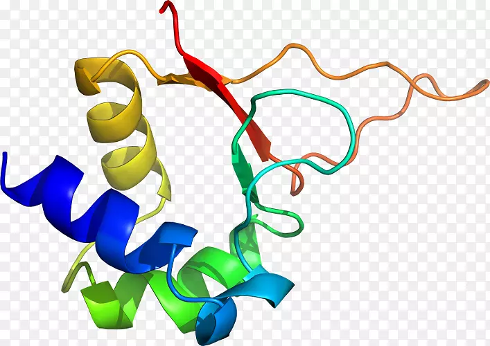 ���������л����߼�������-������