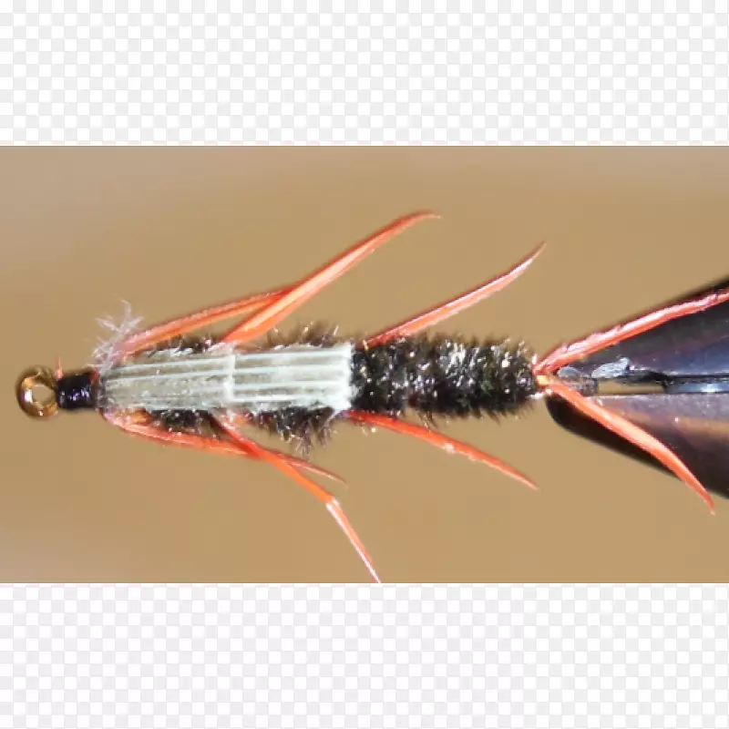 �˹�Ӭ��-������