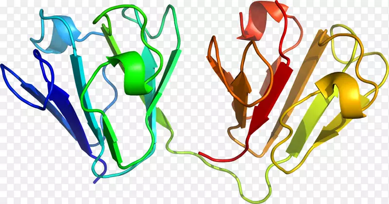 �߲˾��߼�����-�߲�-������