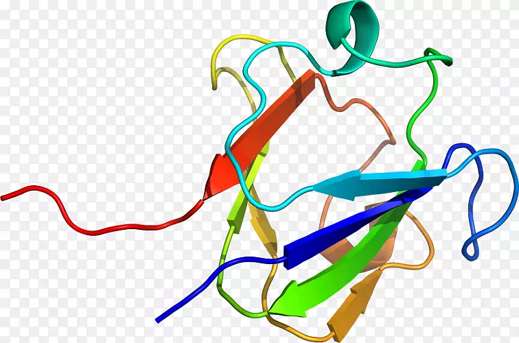 �ߵ������-��-������