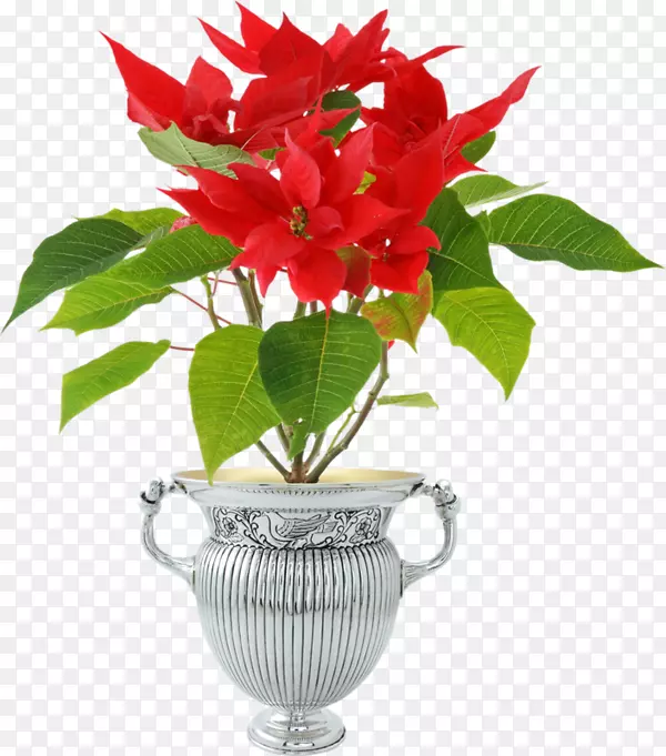 һƷ��ԭ����Ӱ����ֲ��-��-������