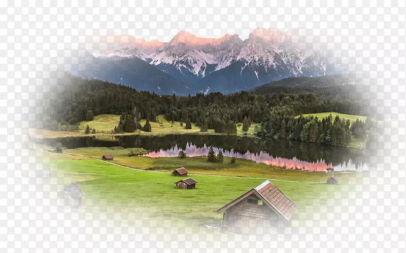 ���������ƾ�������Ҷɫ��-������