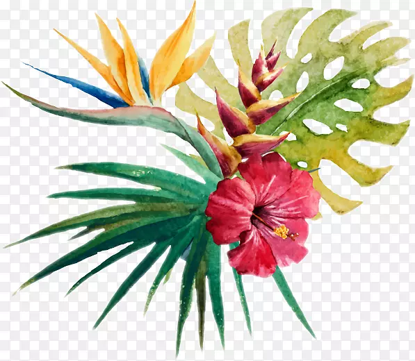 ˮ�ʻ�����ˮ�ʻ���˰-���-������