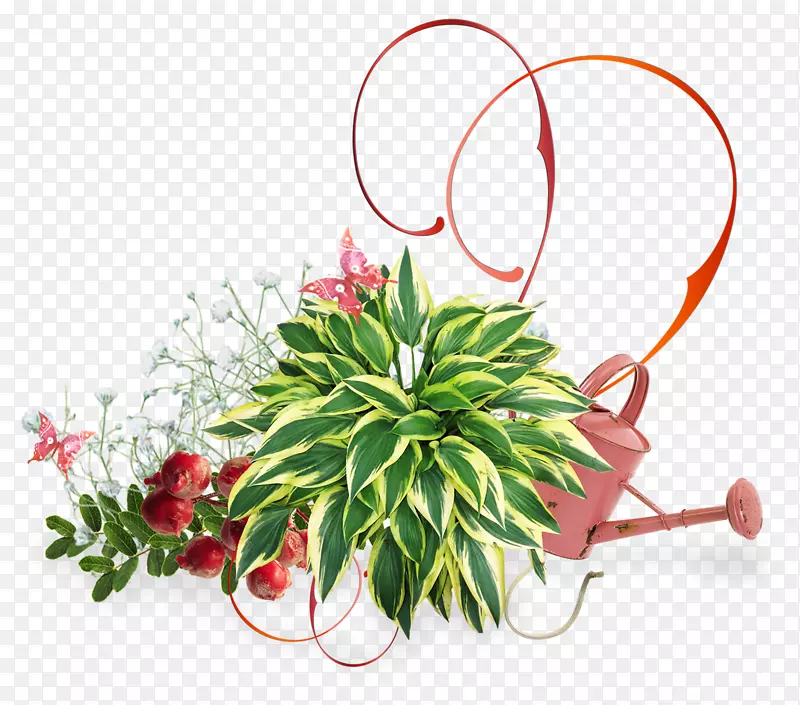 ���������ɫֲ��-����-������