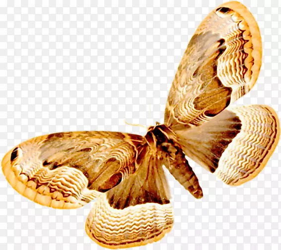 �������洫�����۾���Ʒ����-������