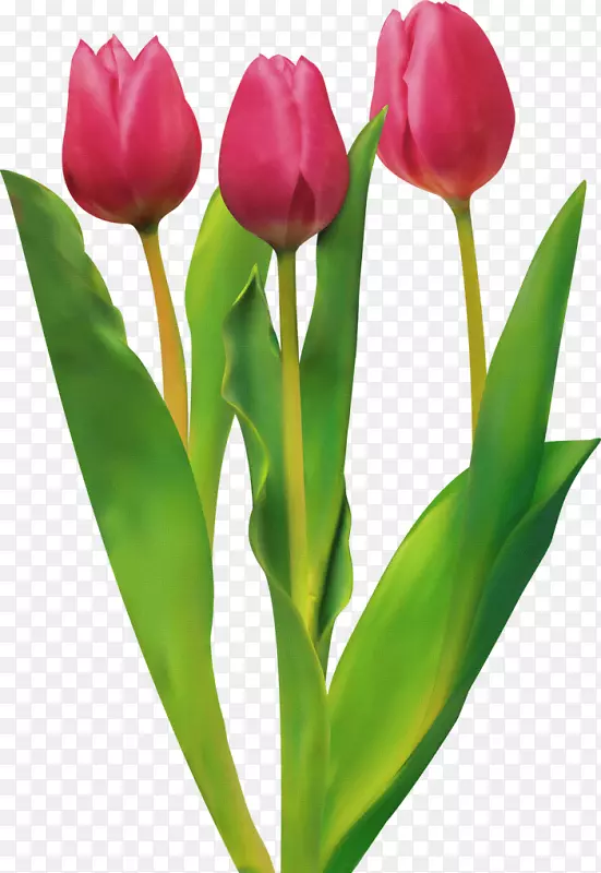 �������л�-������-������