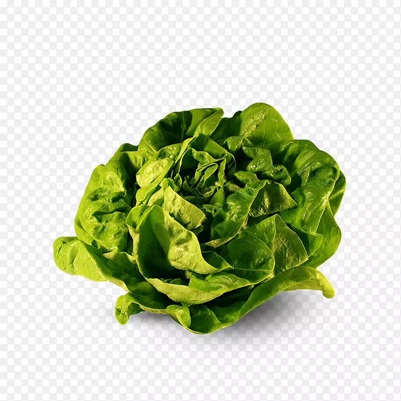 ݫ��ʮ�ֻ����߲�-������