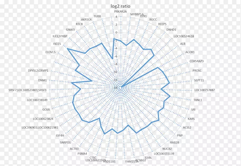 ֱ�ߵ����-������