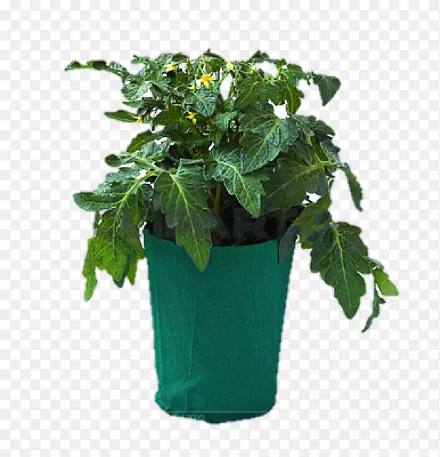 ���ѻ�����ľ��Ӱ�߲�-����-������