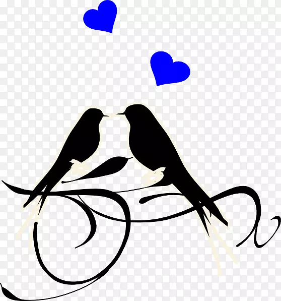 ������������뺯������-С��-������