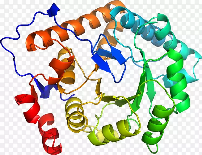 ���������л����߼�������-������