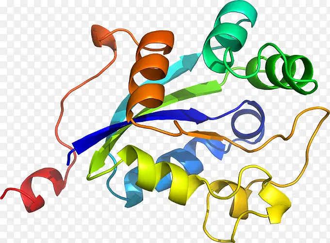 �����鱦������.���-������