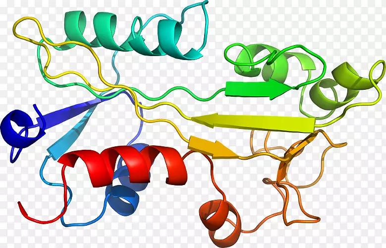 �ߵ������������-������