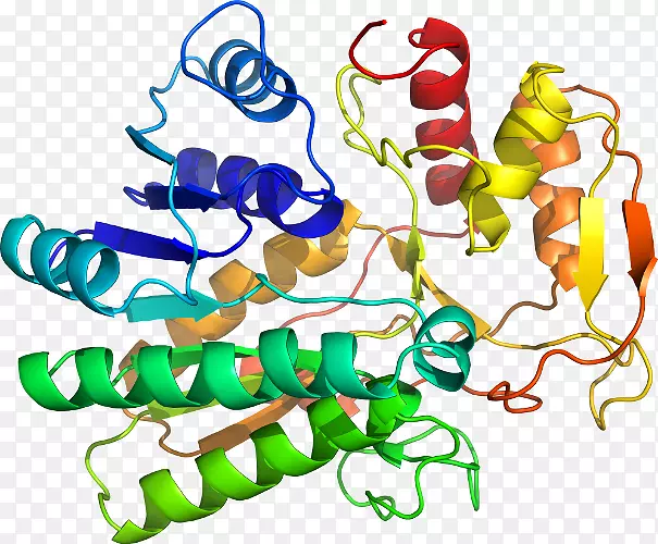 ���������л����߼�������-������