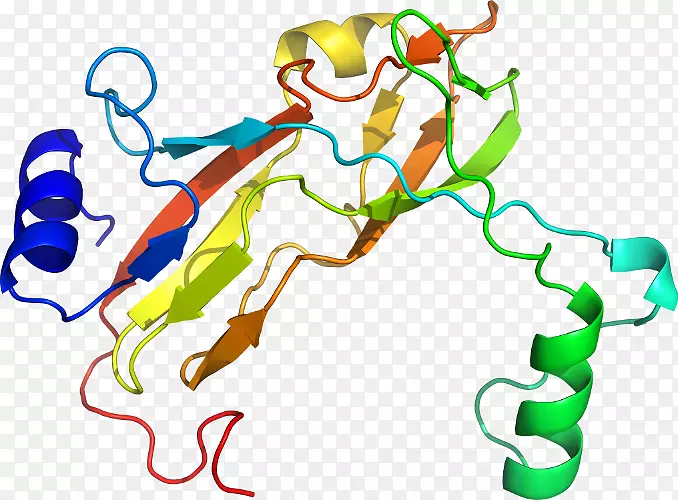 ������Ϊ�л����ߵ��������-������