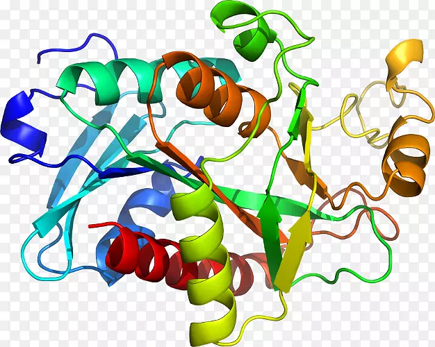 �߲˾��߼�����-�߲�-������