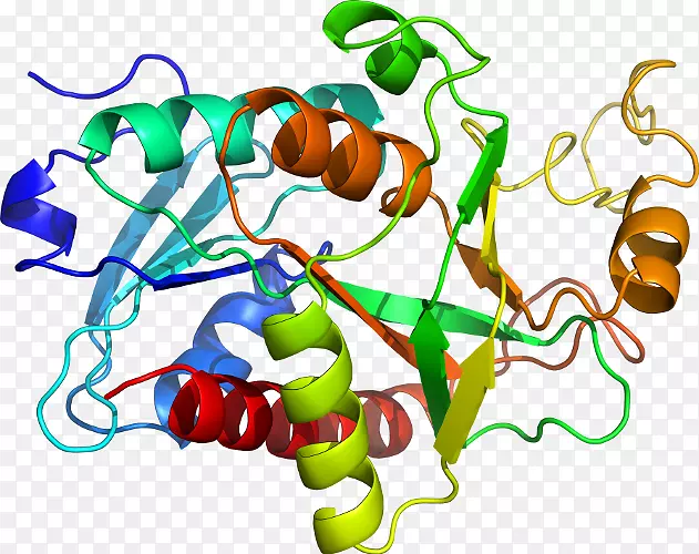 �߲��л���ϵ�м�����-�߲�-������