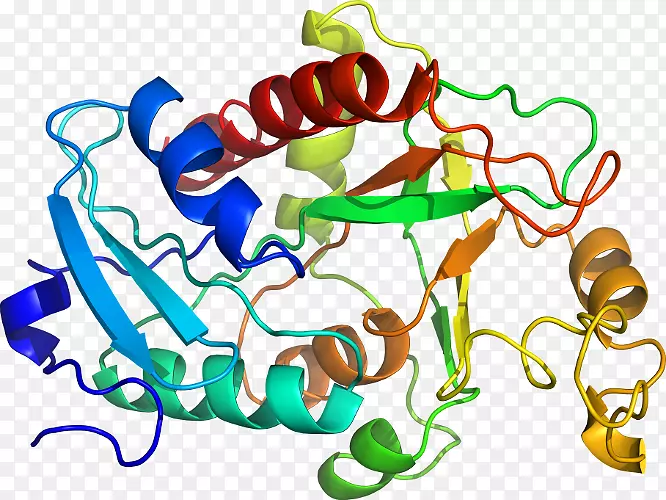 �����߶����������-������